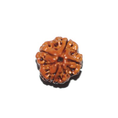 4 mukhi 