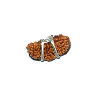 1 Mukhi - Crescent 