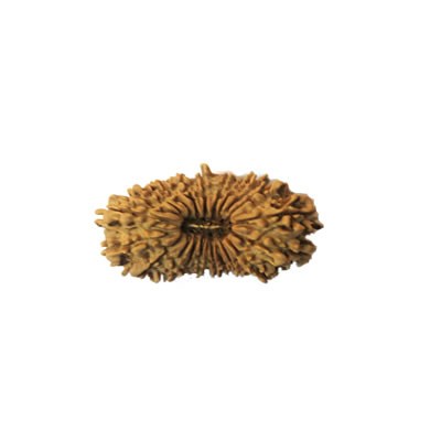 20 Mukhi