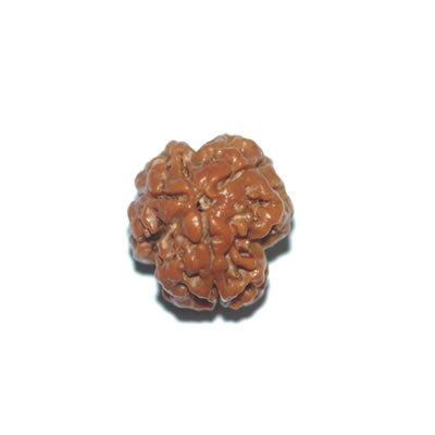 3 Mukhi 