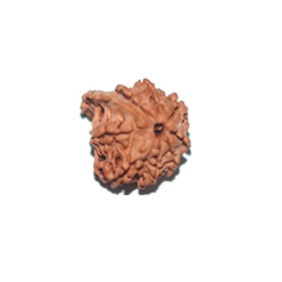 Ganesh Rudraksha